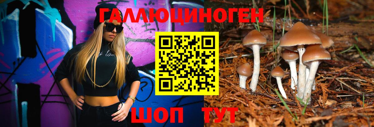 Муравленко  Псилоцибиновые грибы MAGIC MUSHROOMS  Вход с VPN 
