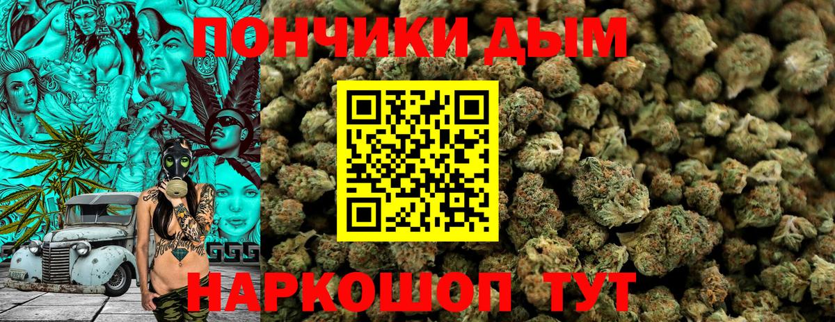 Канабис сатива  Вход с VPN  Муравленко  Конопля конопля 